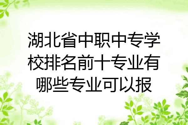 湖北省中职中专学校排名前十专业有哪些专业可以报