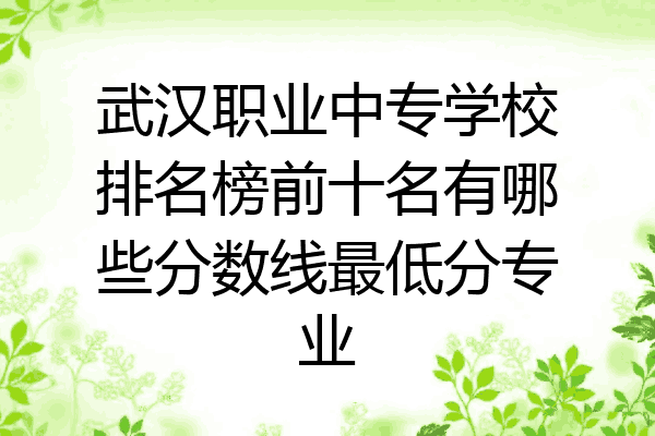 武汉职业中专学校排名榜前十名有哪些分数线最低分专业