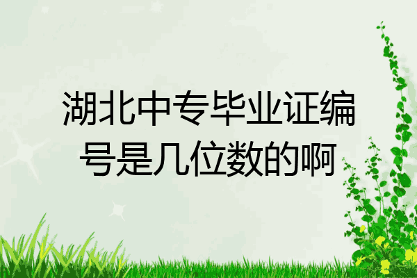 湖北中专毕业证编号是几位数的啊