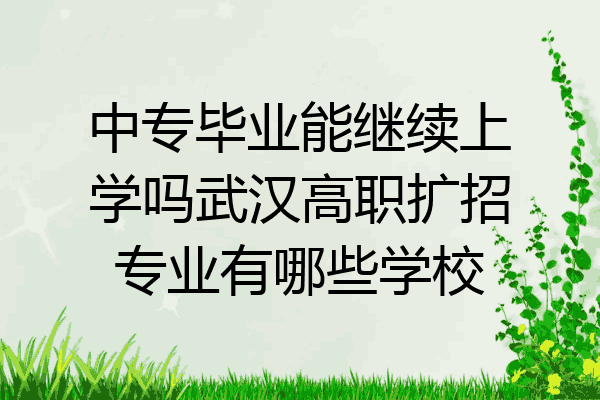 中专毕业能继续上学吗武汉高职扩招专业有哪些学校