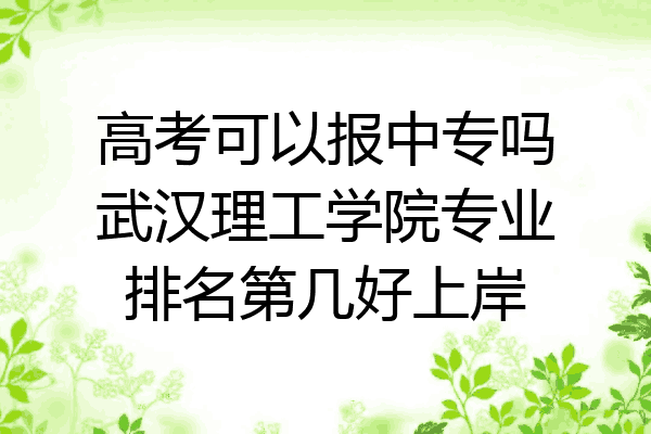 高考可以报中专吗武汉理工学院专业排名第几好上岸