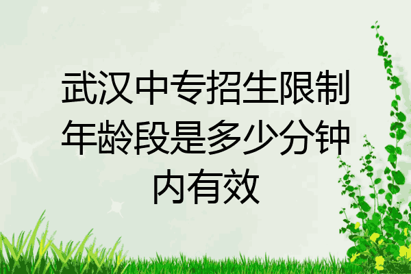 武汉中专招生限制年龄段是多少分钟内有效