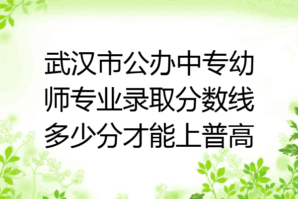 武汉市公办中专幼师专业录取分数线多少分才能上普高