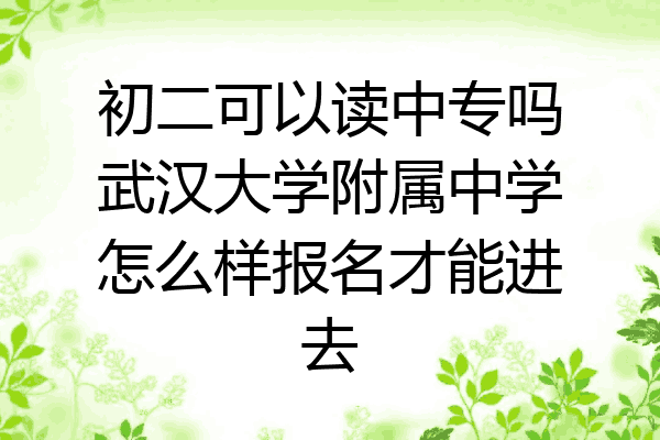 初二可以读中专吗武汉大学附属中学怎么样报名才能进去