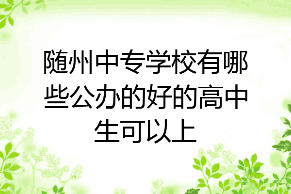 随州中专学校有哪些公办的好的高中生可以上