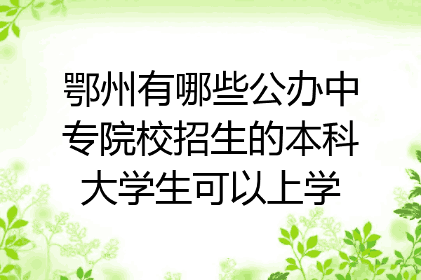 鄂州有哪些公办中专院校招生的本科大学生可以上学