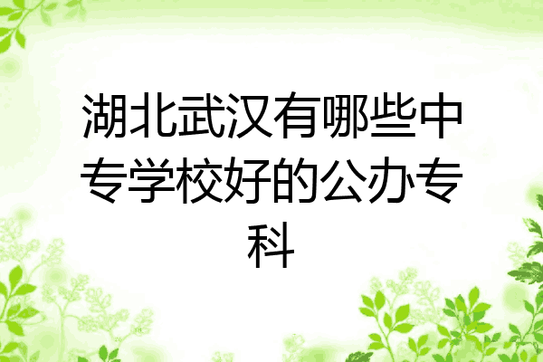 湖北武汉有哪些中专学校好的公办专科