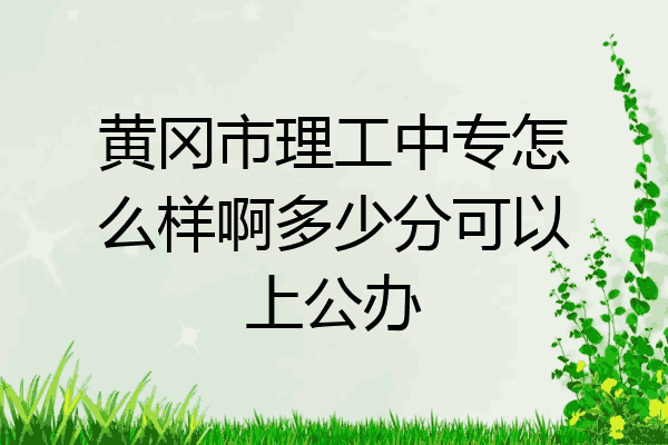 黄冈市理工中专怎么样啊多少分可以上公办