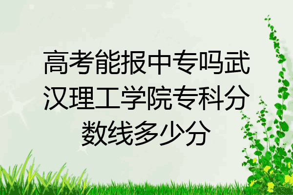 高考能报中专吗武汉理工学院专科分数线多少分