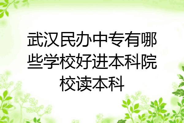 武汉民办中专有哪些学校好进本科院校读本科