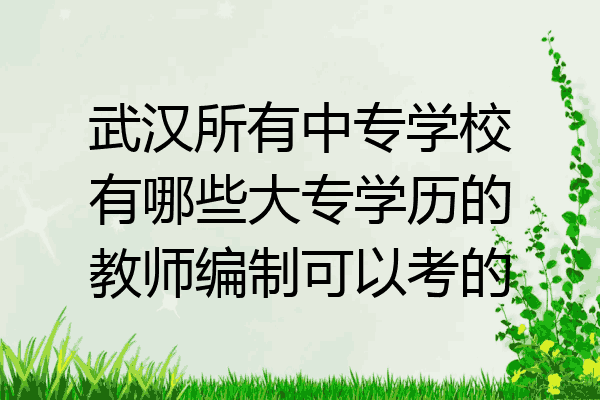 武汉所有中专学校有哪些大专学历的教师编制可以考的