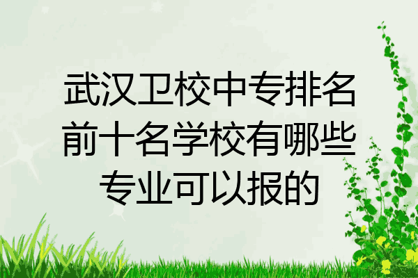 武汉卫校中专排名前十名学校有哪些专业可以报的