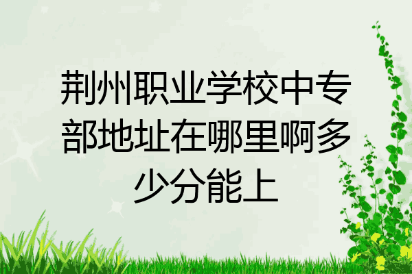 荆州职业学校中专部地址在哪里啊多少分能上