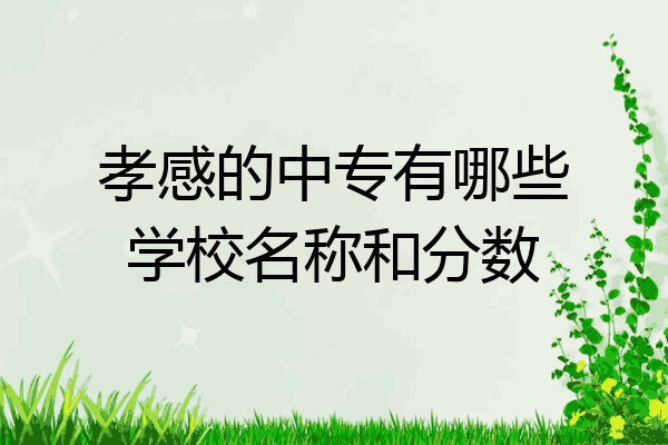孝感的中专有哪些学校名称和分数