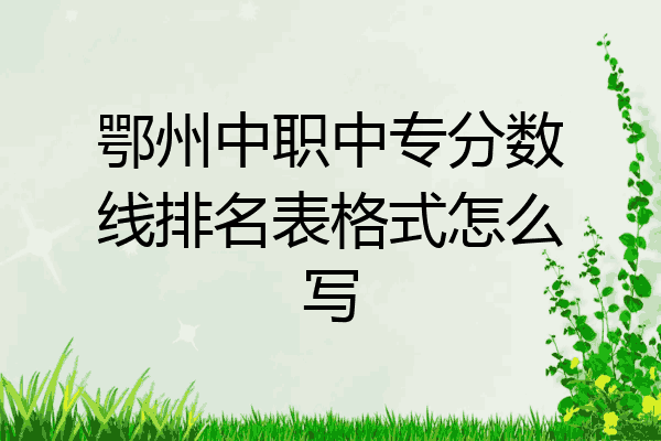 鄂州中职中专分数线排名表格式怎么写
