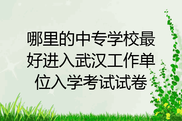 哪里的中专学校最好进入武汉工作单位入学考试试卷