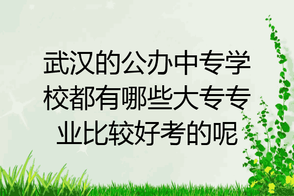 武汉的公办中专学校都有哪些大专专业比较好考的呢