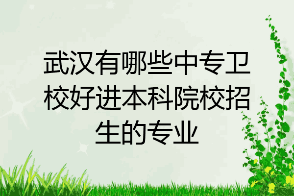 武汉有哪些中专卫校好进本科院校招生的专业