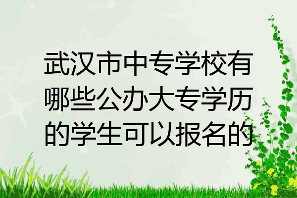 武汉市中专学校有哪些公办大专学历的学生可以报名的