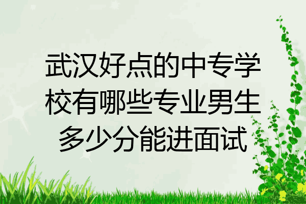 武汉好点的中专学校有哪些专业男生多少分能进面试