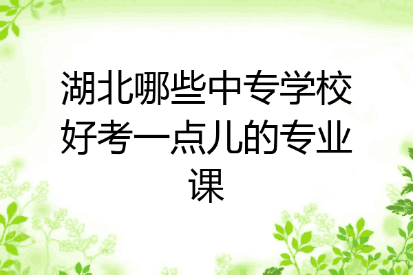 湖北哪些中专学校好考一点儿的专业课