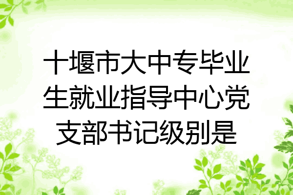 十堰市大中专毕业生就业指导中心党支部书记级别是