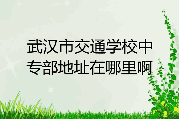 武汉市交通学校中专部地址在哪里啊