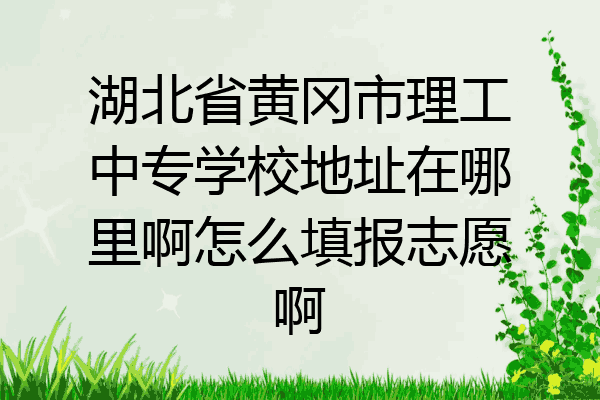 湖北省黄冈市理工中专学校地址在哪里啊怎么填报志愿啊
