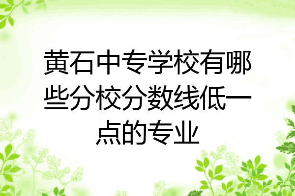 黄石中专学校有哪些分校分数线低一点的专业