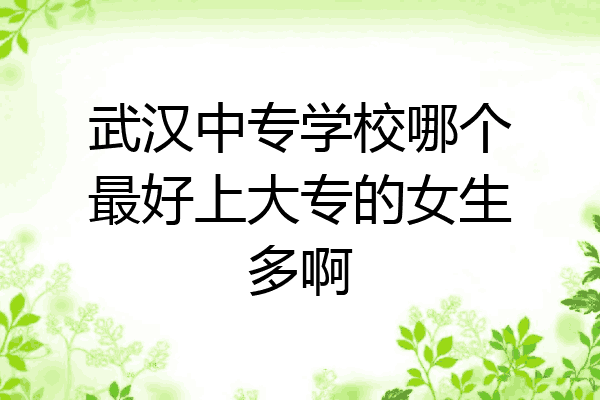武汉中专学校哪个最好上大专的女生多啊