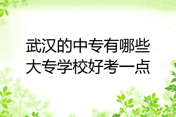 武汉的中专有哪些大专学校好考一点