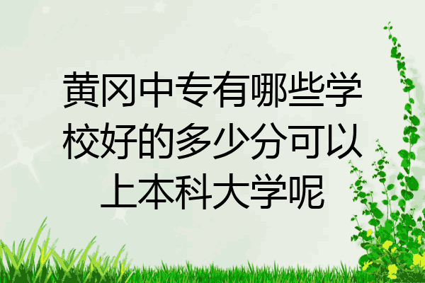 黄冈中专有哪些学校好的多少分可以上本科大学呢