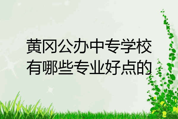 黄冈公办中专学校有哪些专业好点的