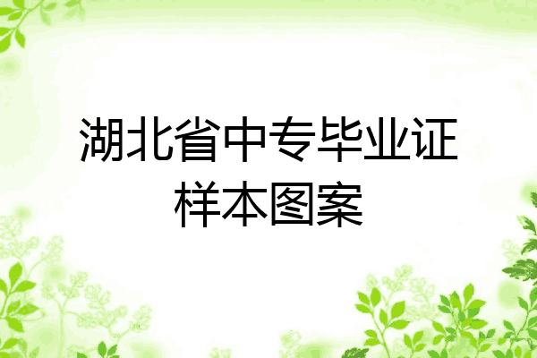 湖北省中专毕业证样本图案