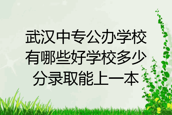武汉中专公办学校有哪些好学校多少分录取能上一本
