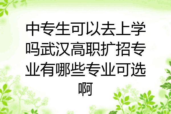 中专生可以去上学吗武汉高职扩招专业有哪些专业可选啊