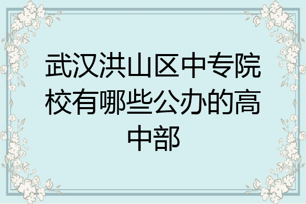 武汉洪山区中专院校有哪些公办的高中部