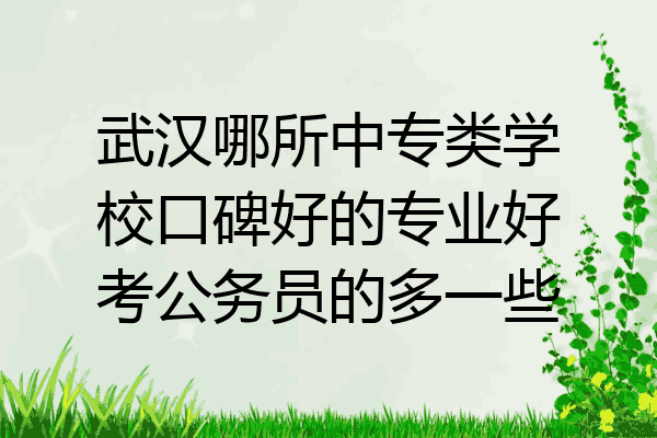 武汉哪所中专类学校口碑好的专业好考公务员的多一些