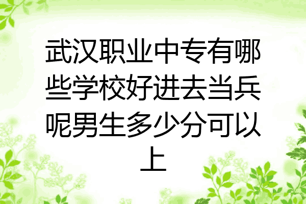 武汉职业中专有哪些学校好进去当兵呢男生多少分可以上