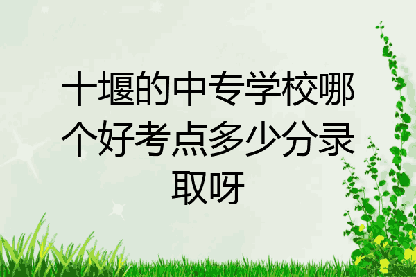十堰的中专学校哪个好考点多少分录取呀