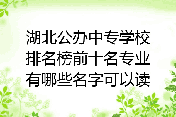 湖北公办中专学校排名榜前十名专业有哪些名字可以读