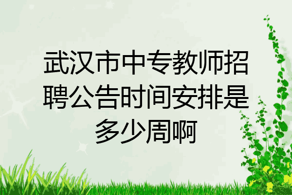 武汉市中专教师招聘公告时间安排是多少周啊