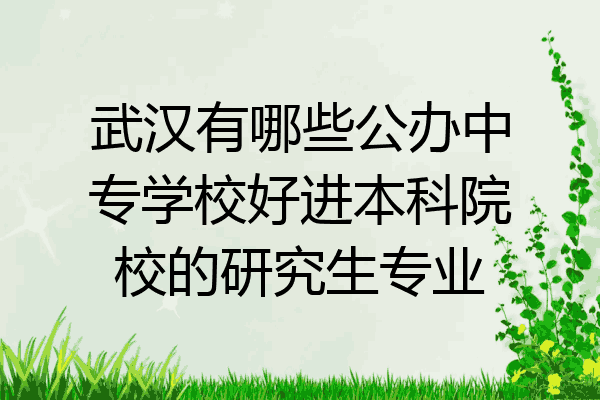 武汉有哪些公办中专学校好进本科院校的研究生专业