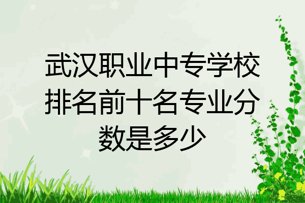 武汉职业中专学校排名前十名专业分数是多少