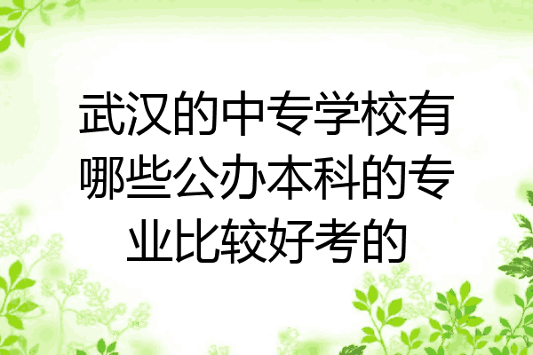 武汉的中专学校有哪些公办本科的专业比较好考的