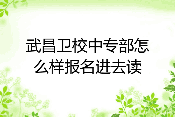 武昌卫校中专部怎么样报名进去读