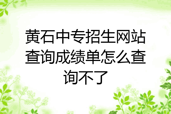 黄石中专招生网站查询成绩单怎么查询不了