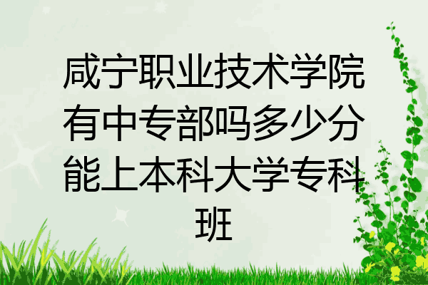 咸宁职业技术学院有中专部吗多少分能上本科大学专科班