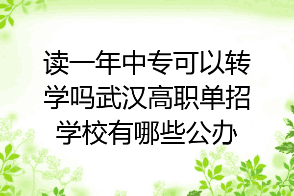 读一年中专可以转学吗武汉高职单招学校有哪些公办