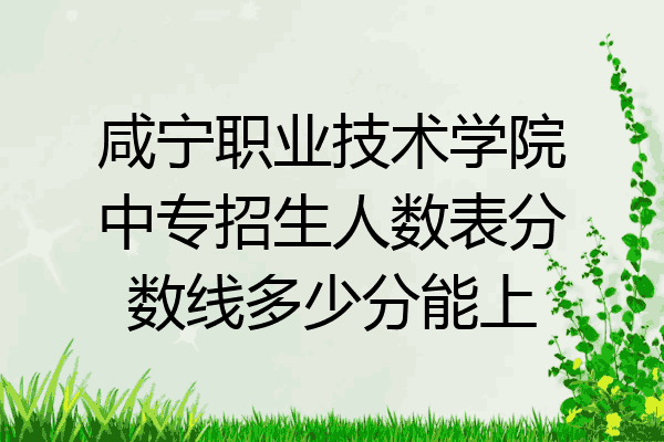 咸宁职业技术学院中专招生人数表分数线多少分能上